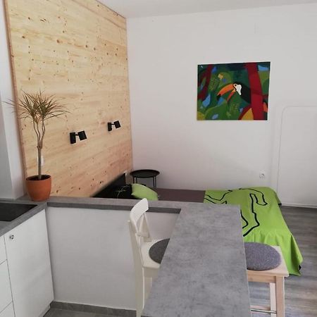 Apartamento Studio Apartman Fleiss Samobor Exterior foto