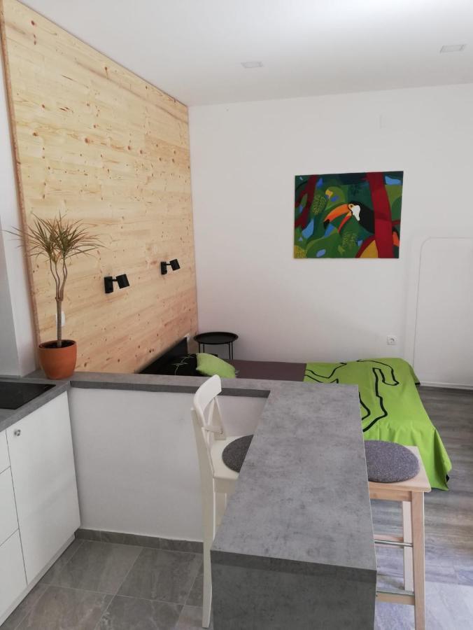 Apartamento Studio Apartman Fleiss Samobor Exterior foto