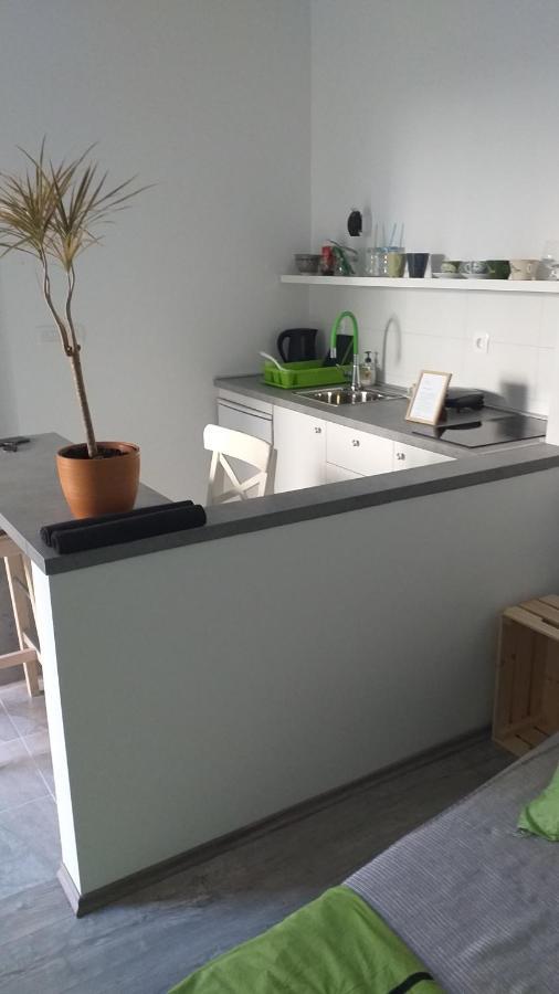 Apartamento Studio Apartman Fleiss Samobor Exterior foto