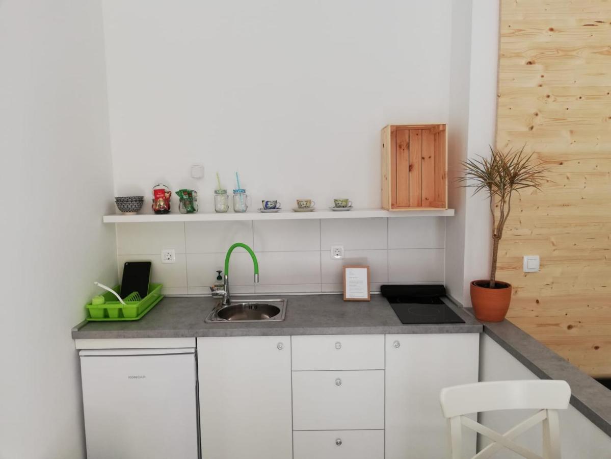Apartamento Studio Apartman Fleiss Samobor Exterior foto